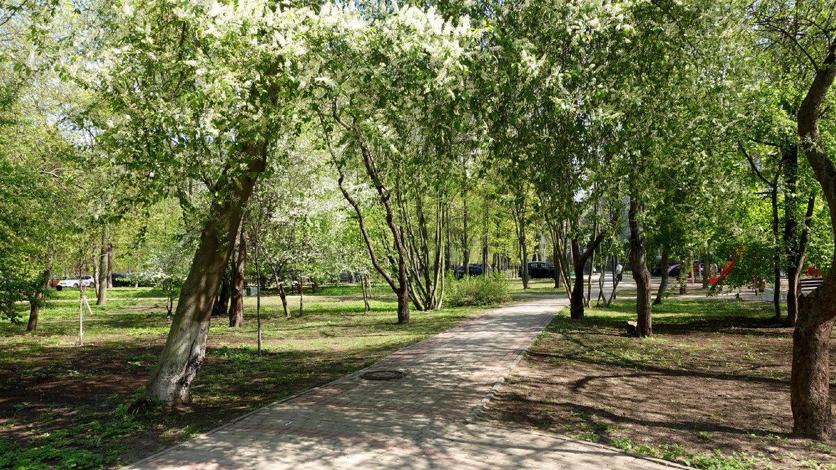 Анфисин сад. Май 2023 года 