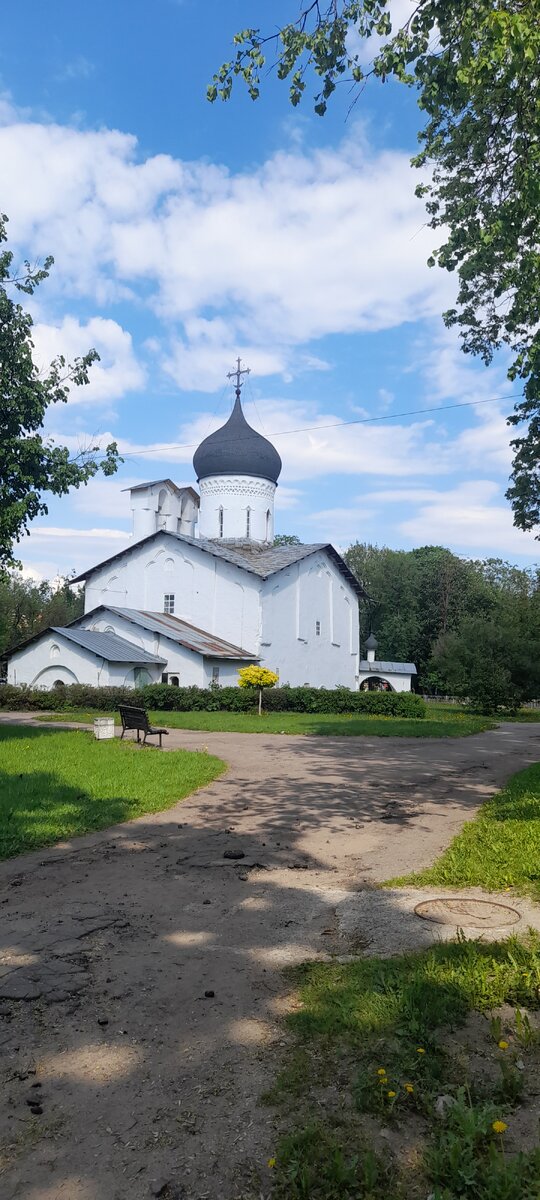 Большинство фотографий на фотоаппарате. 