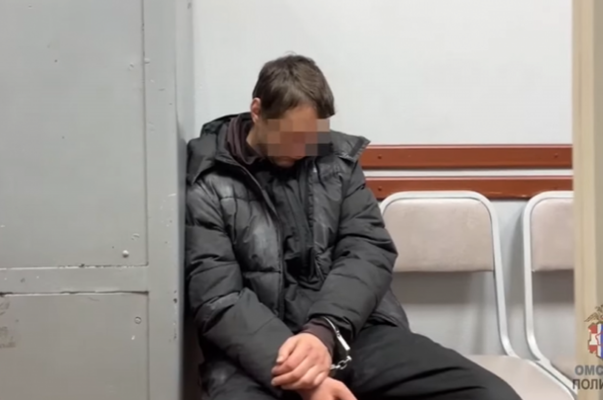    Омича, который с ножом напал на пенсионерку, отправили на лечение