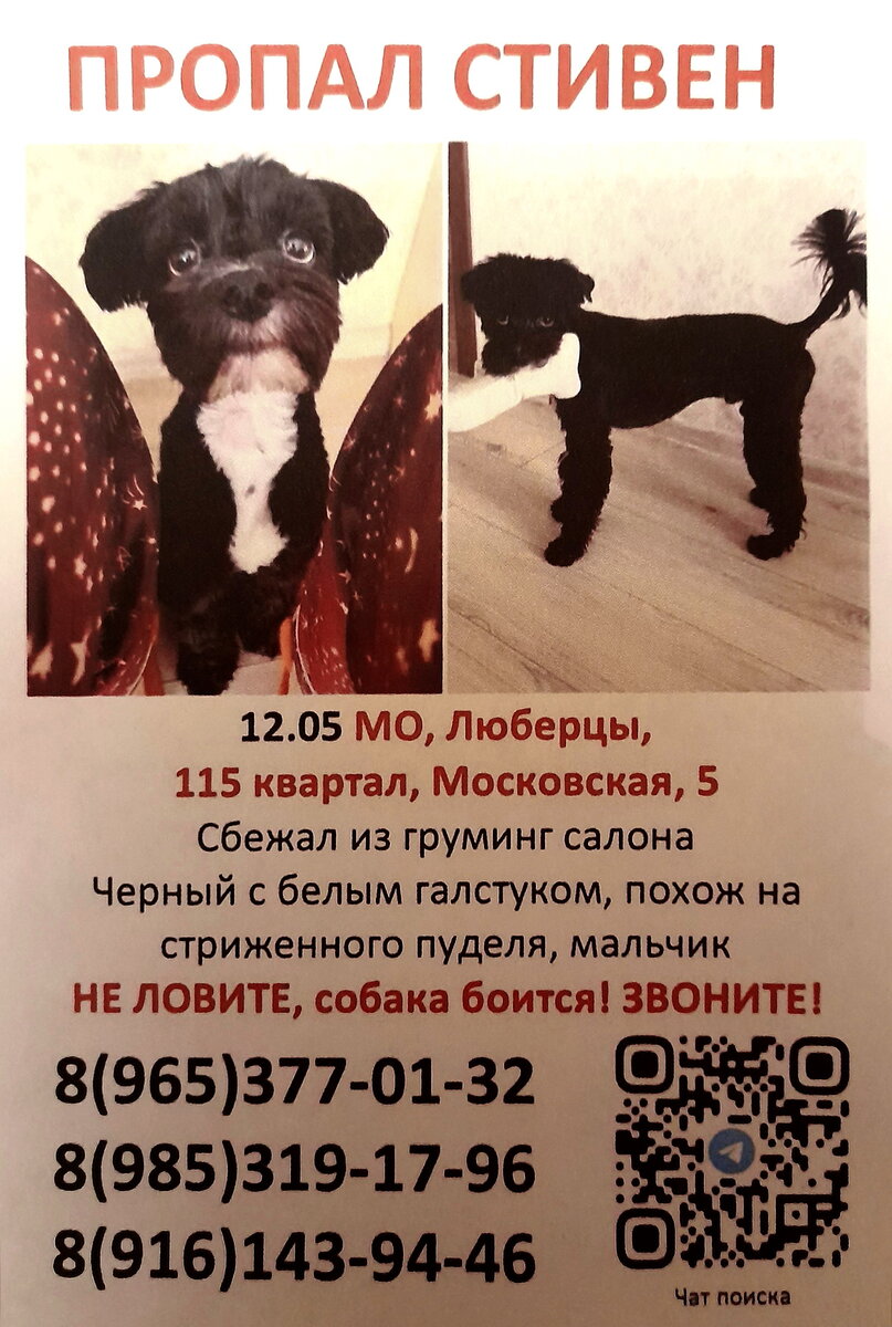 Фото объявления о поиске Стивена из личного архива