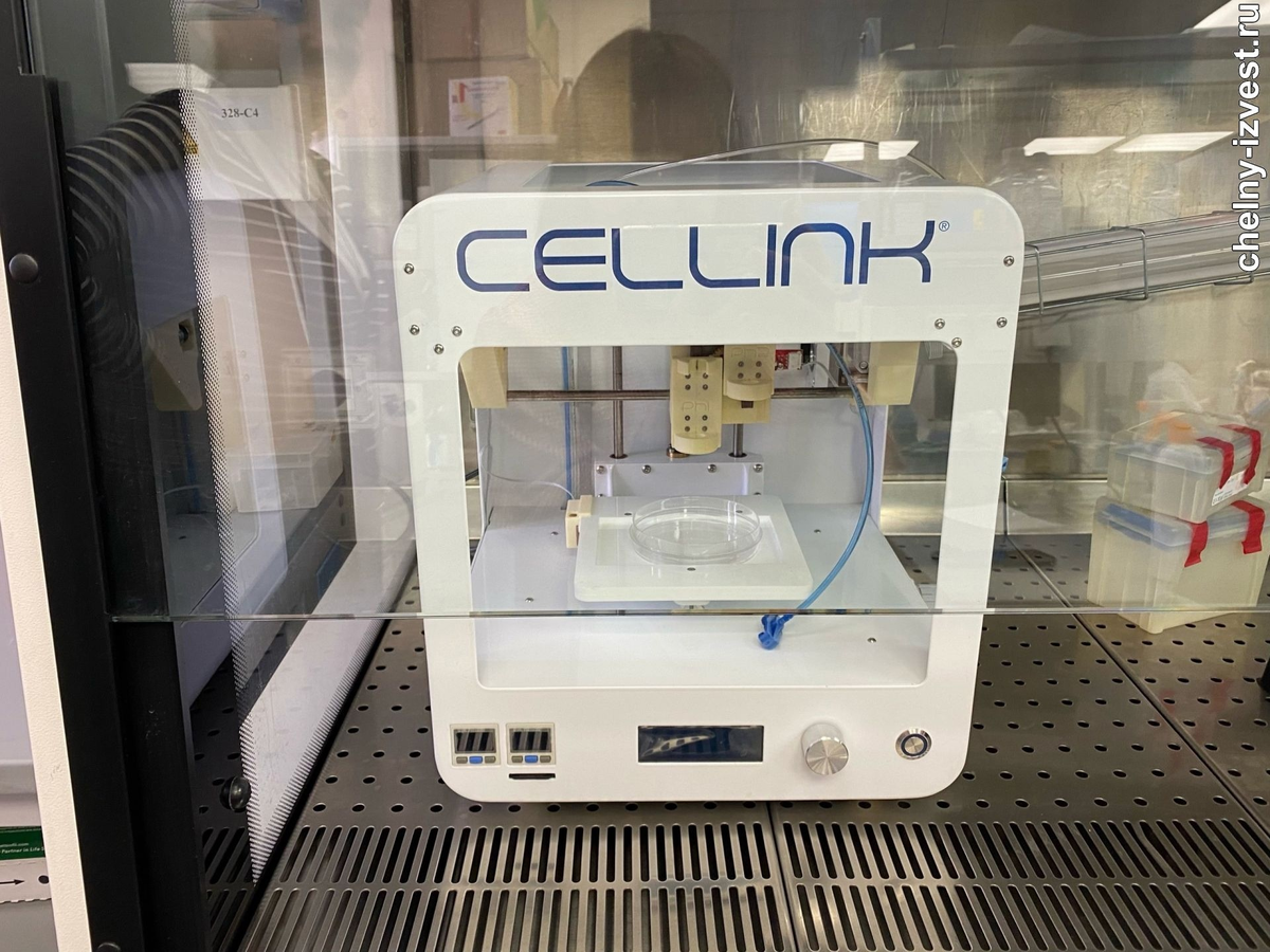 биопринтер, который печатает мясо