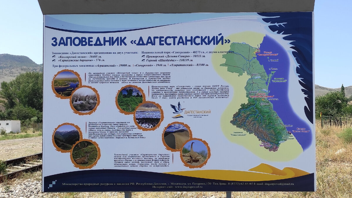 Сарыкумский Бархан, Место Съемок "Белого Солнца Пустыни" | 33ways.