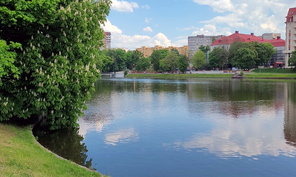 Вид на Нижнее озеро и Историко-художественный музей. Фото И. Нилова