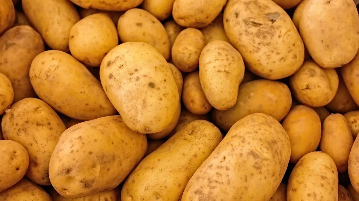 Огородники будут сажать культуры в огороде. Фото: www.piqsels.com