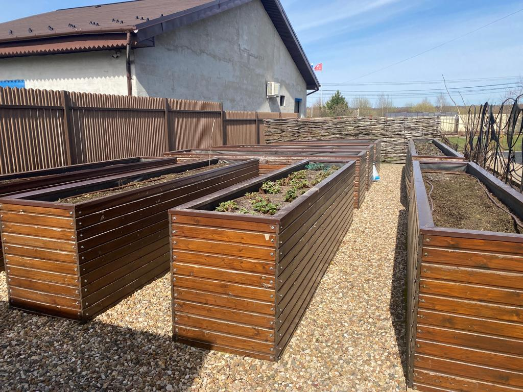 Фото Фиолетового сна