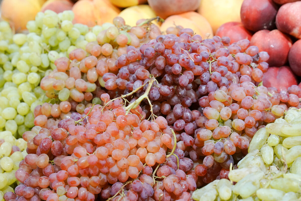 ФОТО: Sergey Petrov/Globallookpress 