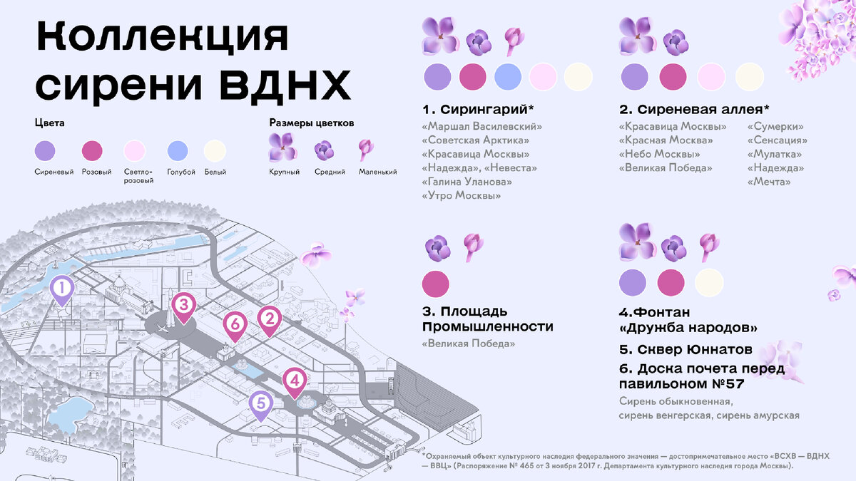 Карта цветения сирени на ВДНХ. Взято с сайта ВДНХ.