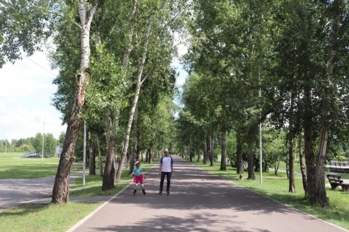    В ближайшее время клещей на острове будут травить.