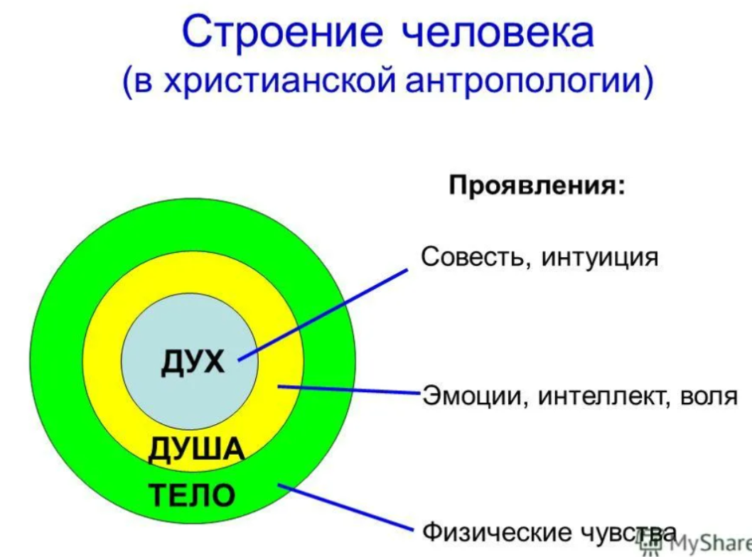 Дух определение. Дух, душа и тело. Человек дух душа тело. Структура человека душа дух и тело. Тело душа и дух в православии