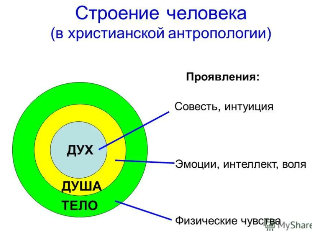 Внутренние части личности человека. Дух, душа и тело. Человек дух душа тело. Тело душа и дух в православии. Структура человека душа дух и тело.