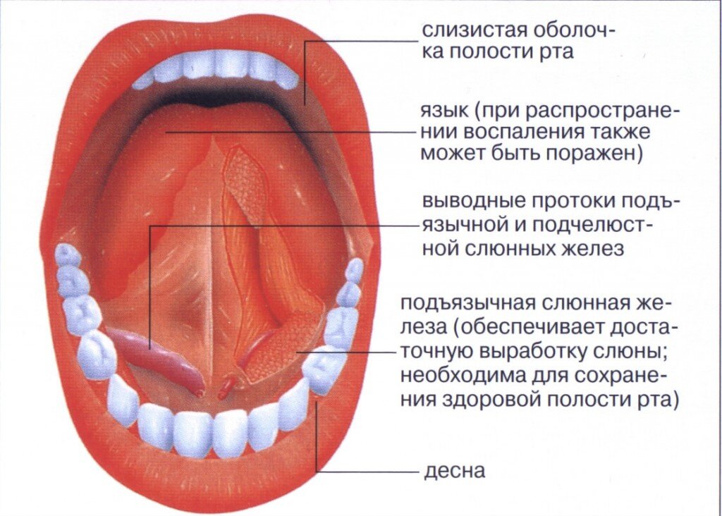 Рак мягкого неба фото симптомы как выглядит