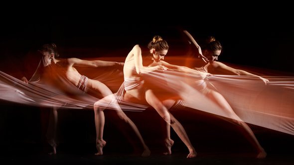    Фото: Master1305 / Shutterstock / Fotodom