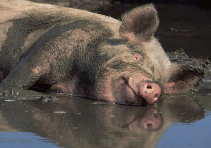 Приятно и с пользой!