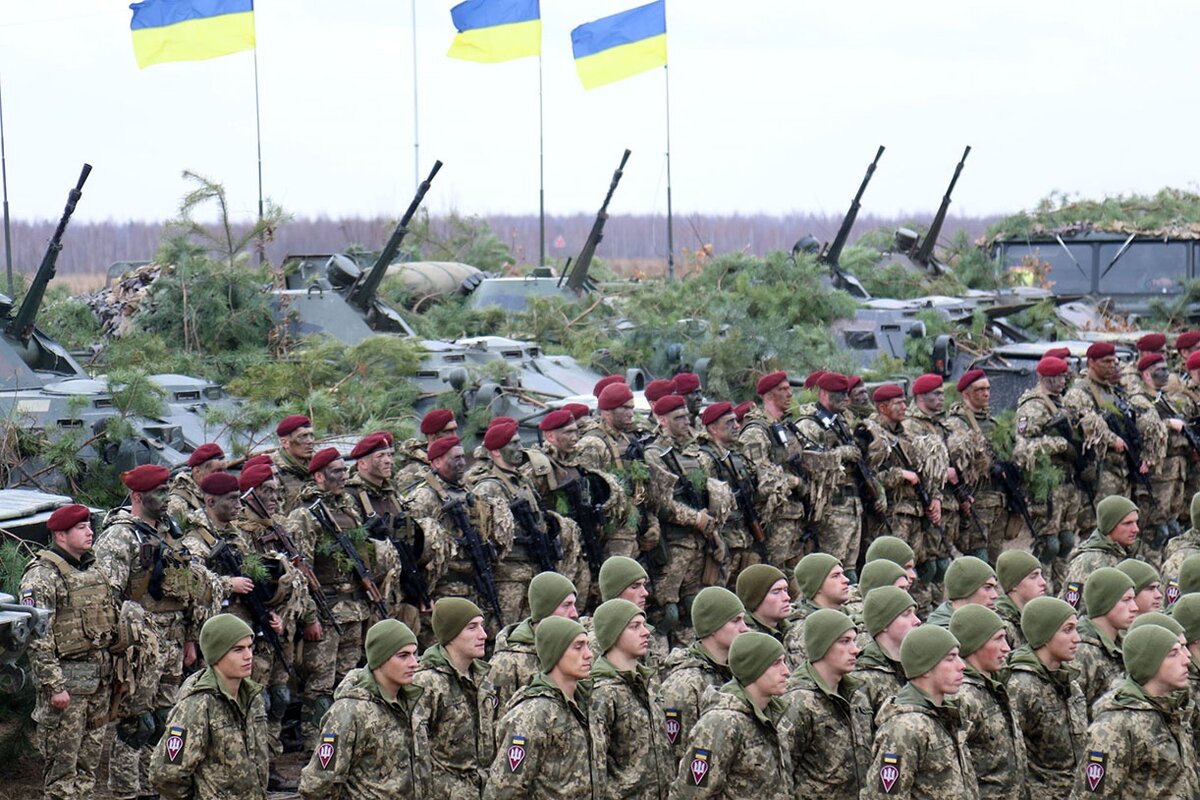 Все изображения и фото в статье взяты из открытых источников.