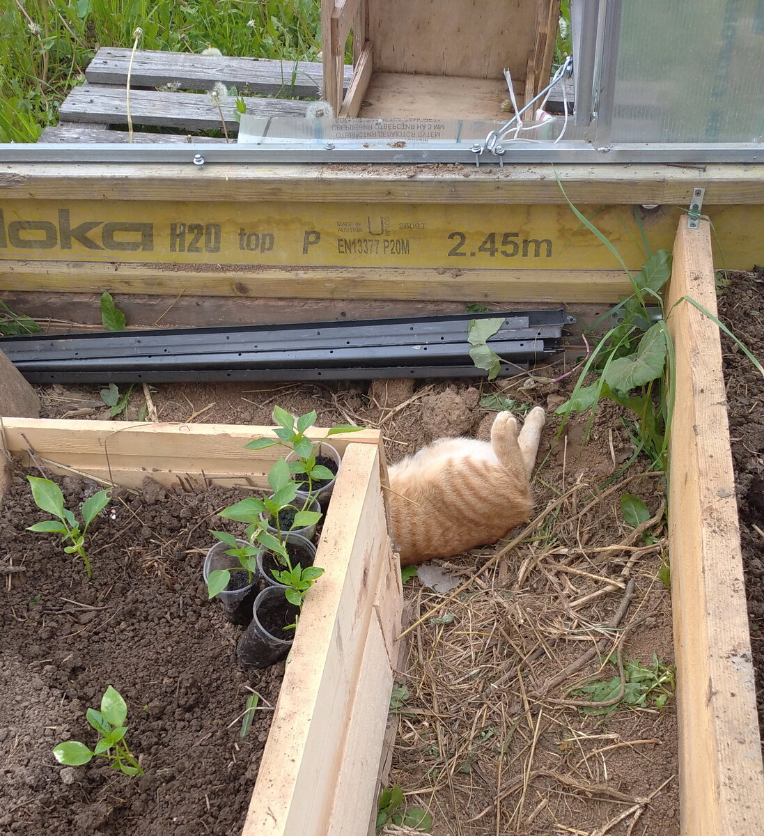 Личное  фото.