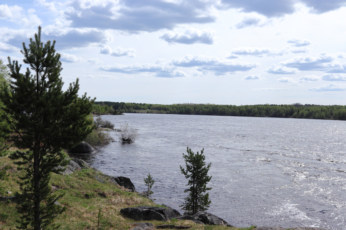 Погода в шомбе. Кемь (река, впадает в белое море). Река Кемь Карелия. Карелия местные жители. Шомба Карелия местные старожилы.