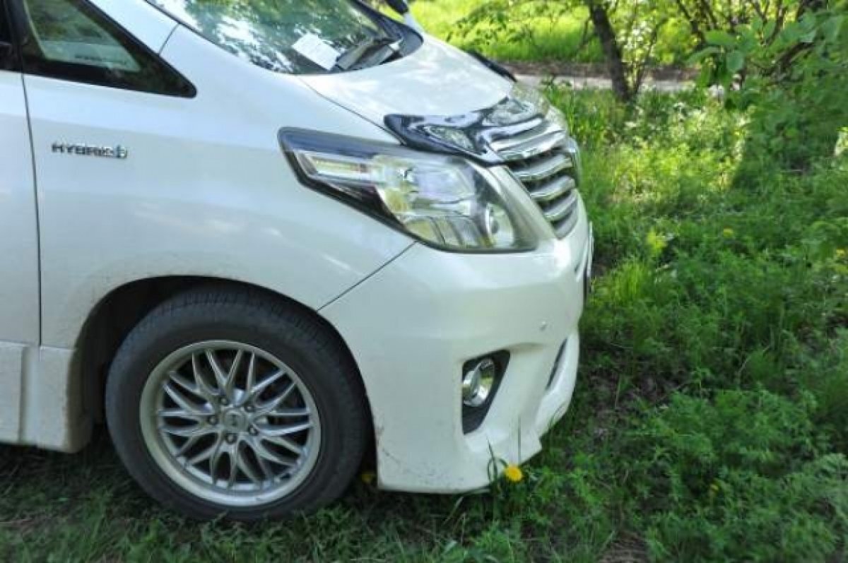    За испорченную аллею памяти в Хабаровске оштрафуют автолюбителей