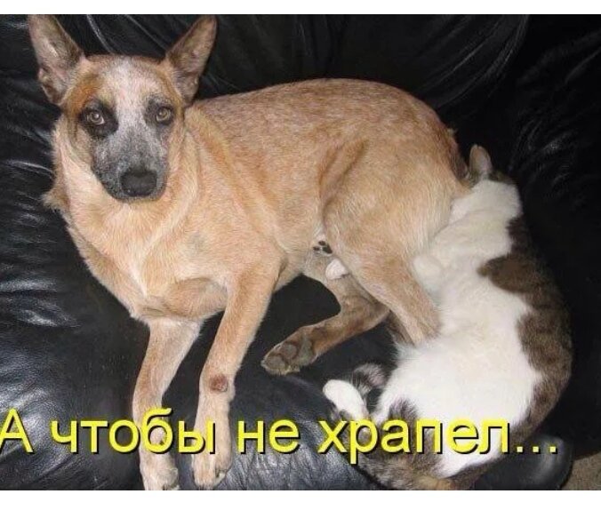 Скриншот автора