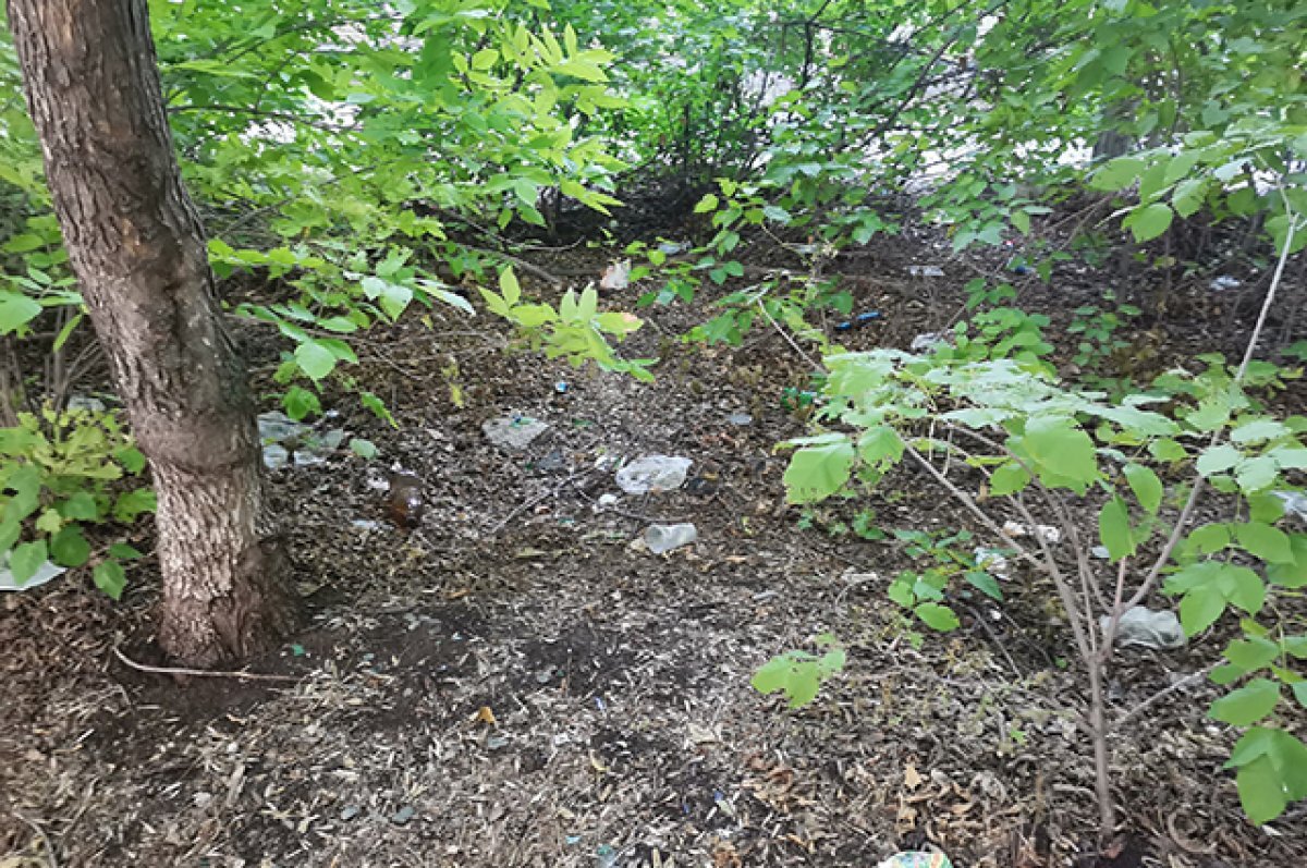    В Оренбурге отремонтируют очередной парк