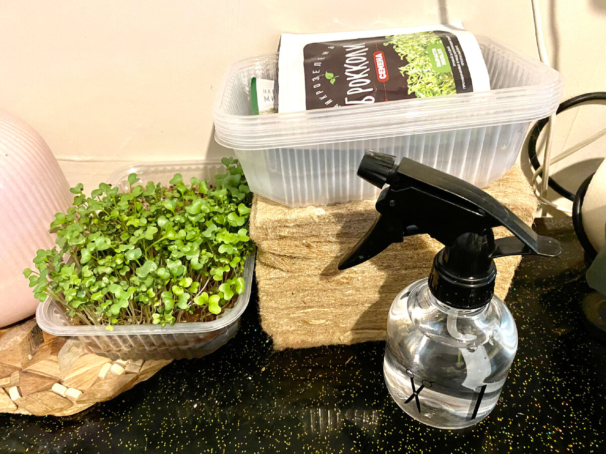 Так выглядит мой стол на кухне