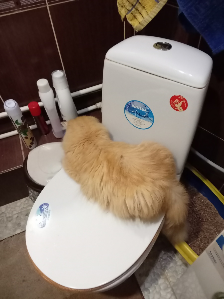 Не подглядывает!