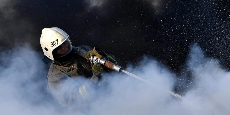 Фото: РИА «Новости» (https://cdnn21.img.ria.ru/images/07e5/04/0f/1728487802_0:264:1967:1370_1920x0_80_0_0_6b2583a5ea78a5986dd1788bd271b1d6.jpg.webp)