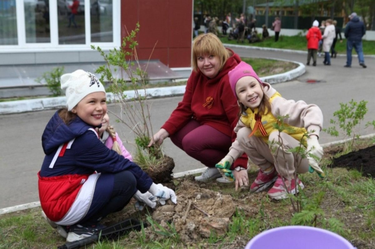    «Аллея Защитникам Отечества» появилась у школы номер 14 в Иркутске