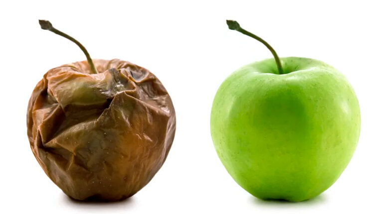 Как понимать «подключение действиями заявителя»?