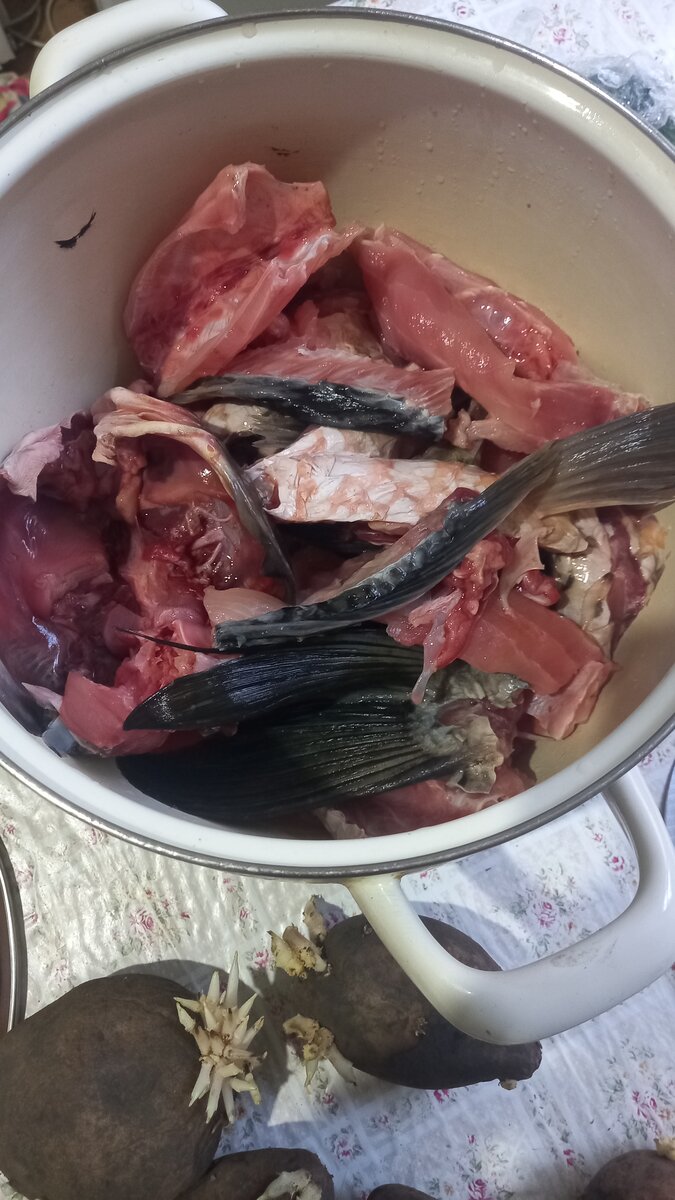 Готовим уху из сазана. Без заморочек!