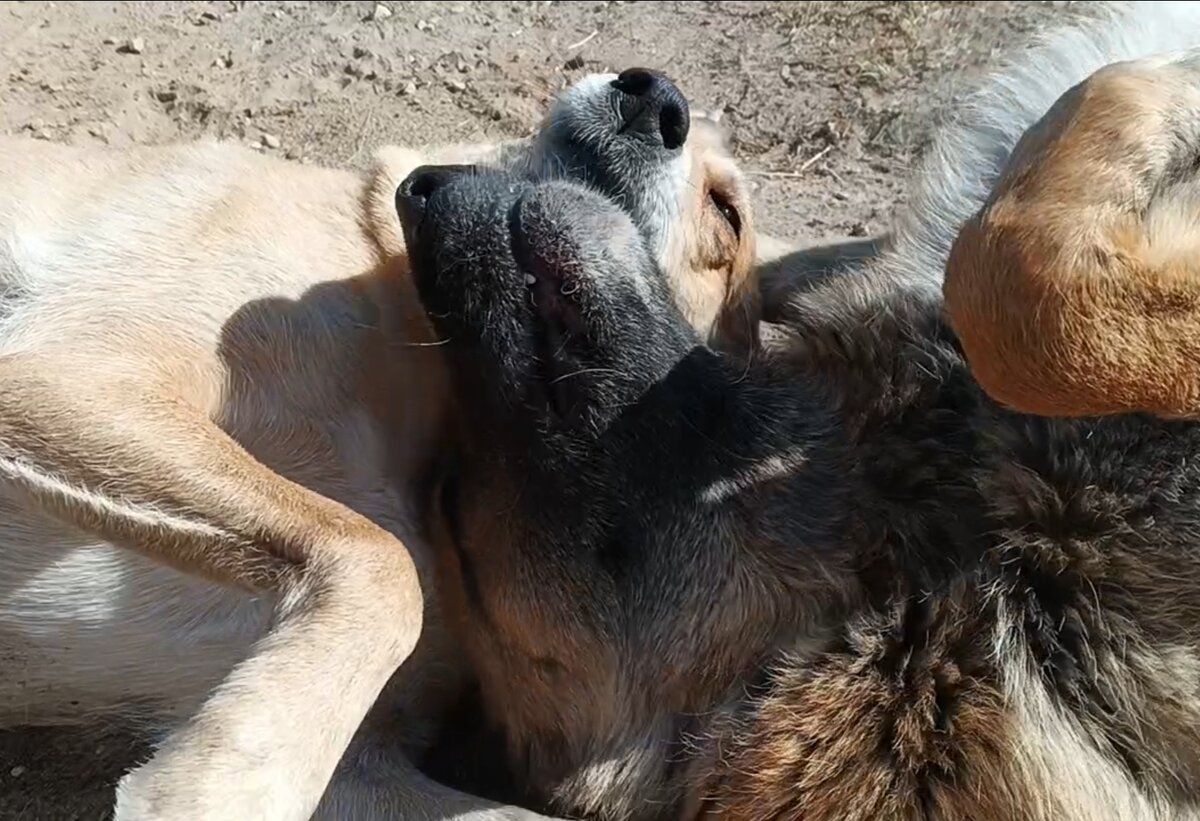 Ксюша и Лиза