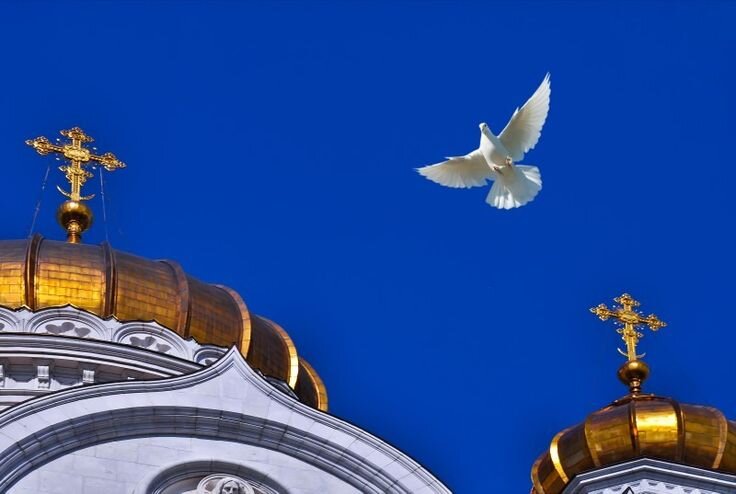 Голубь - символ Святого Духа. фото ru.pinterest.com
