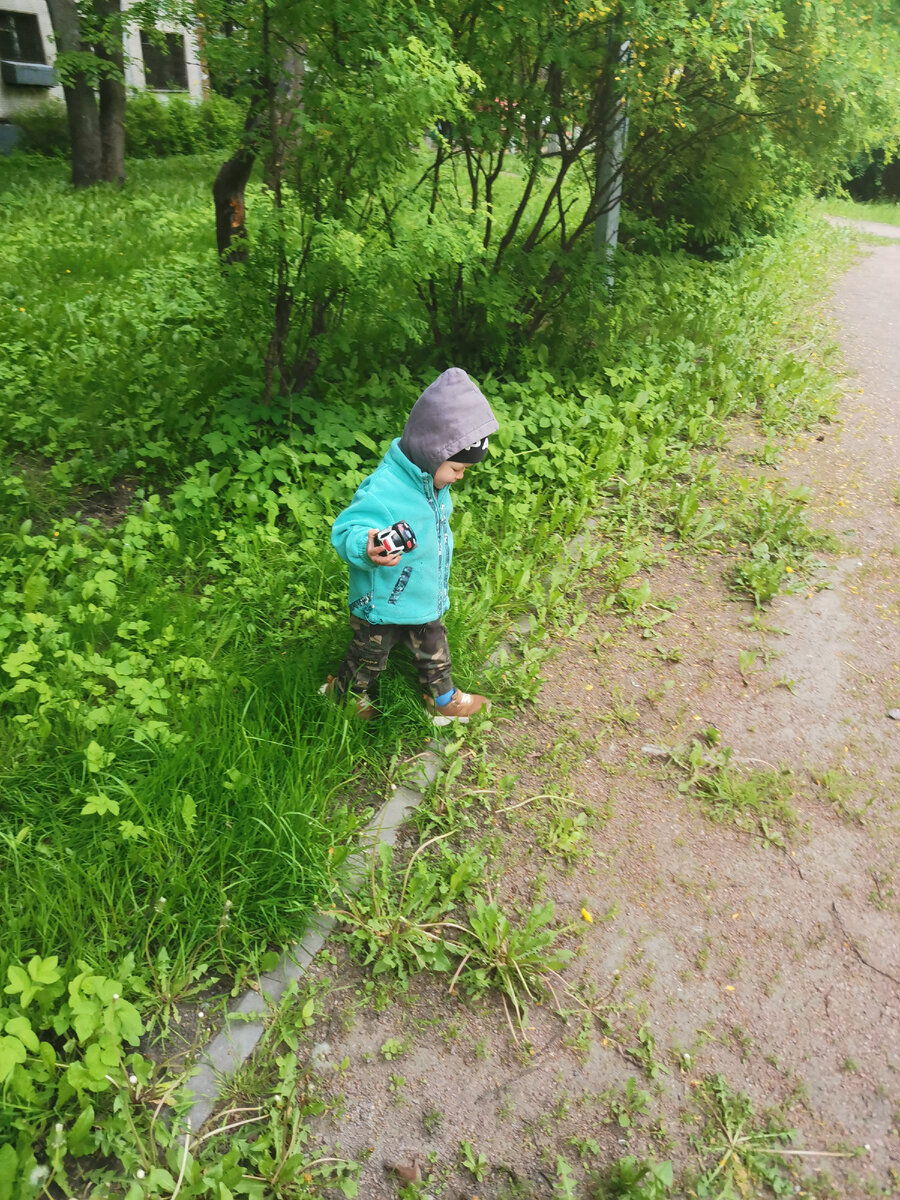 Паша на прогулке