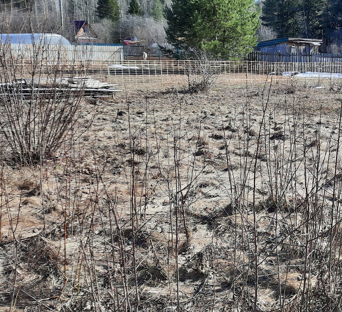 Было в начале.6 апреля.