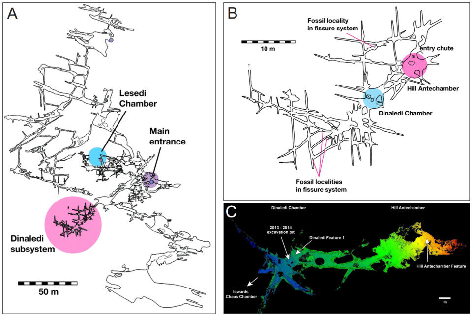   Lee Berger et al. / bioRxiv, 2023