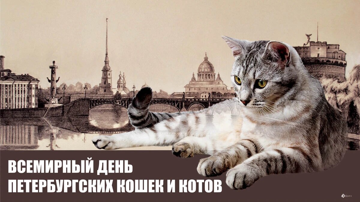 Всемирный день петербургских кошек. Иллюстрация: «Курьер.Среда»