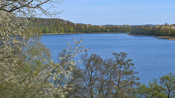 ФОТО: PATRICK PLEUL/DPA/GLOBALLOOKPRESS 