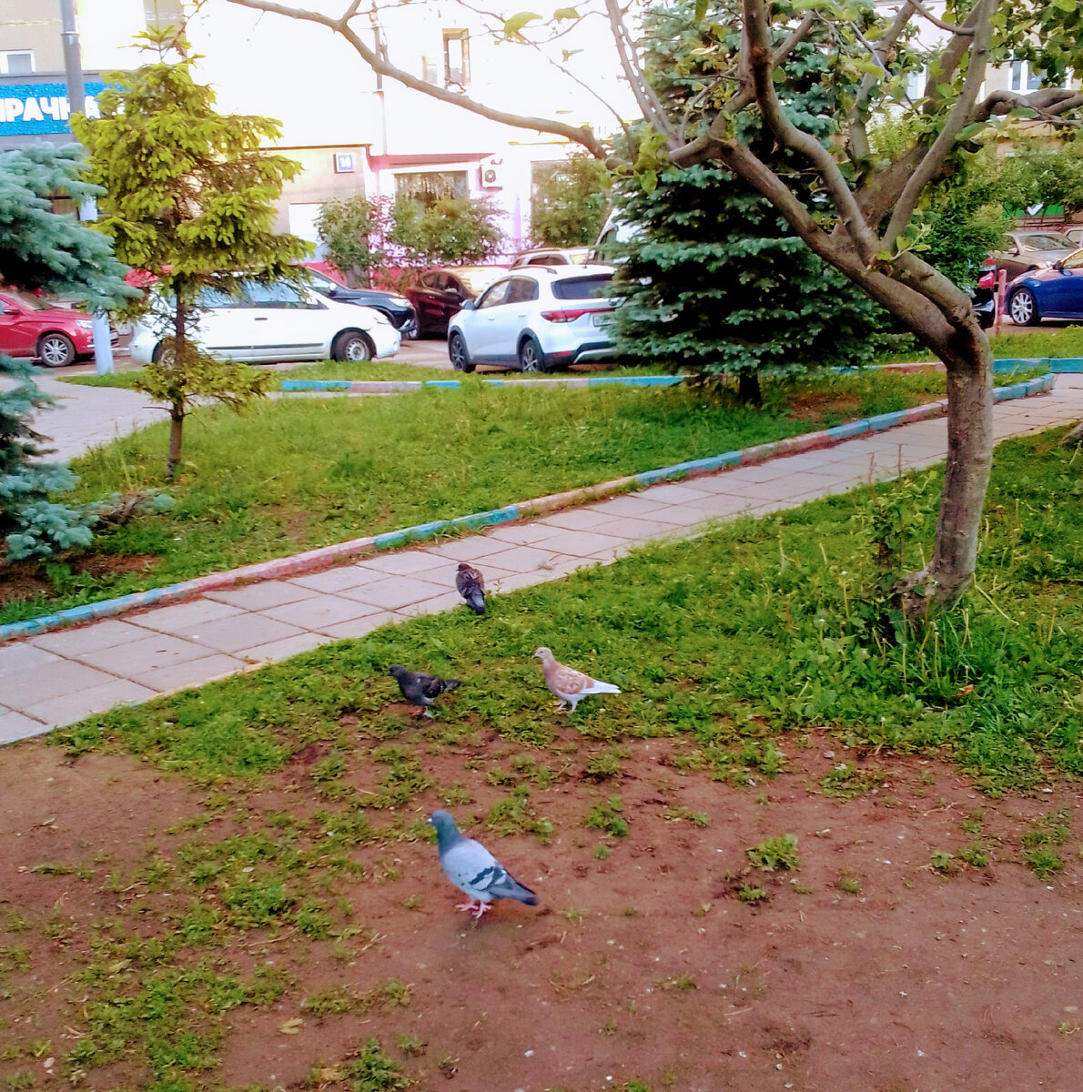 Двери колонии открылись,и Тоня, словно птичка, легонько выпорхнула из этого унылого и тяжёлого тюремного гнезда.Фото к рассказу "Самый счастливый человек" книги "Командоры". Автор рассказа"Самый счастливый человек" книги "Командоры" и фото В.А.Галашевский 8 июня 2023 г.