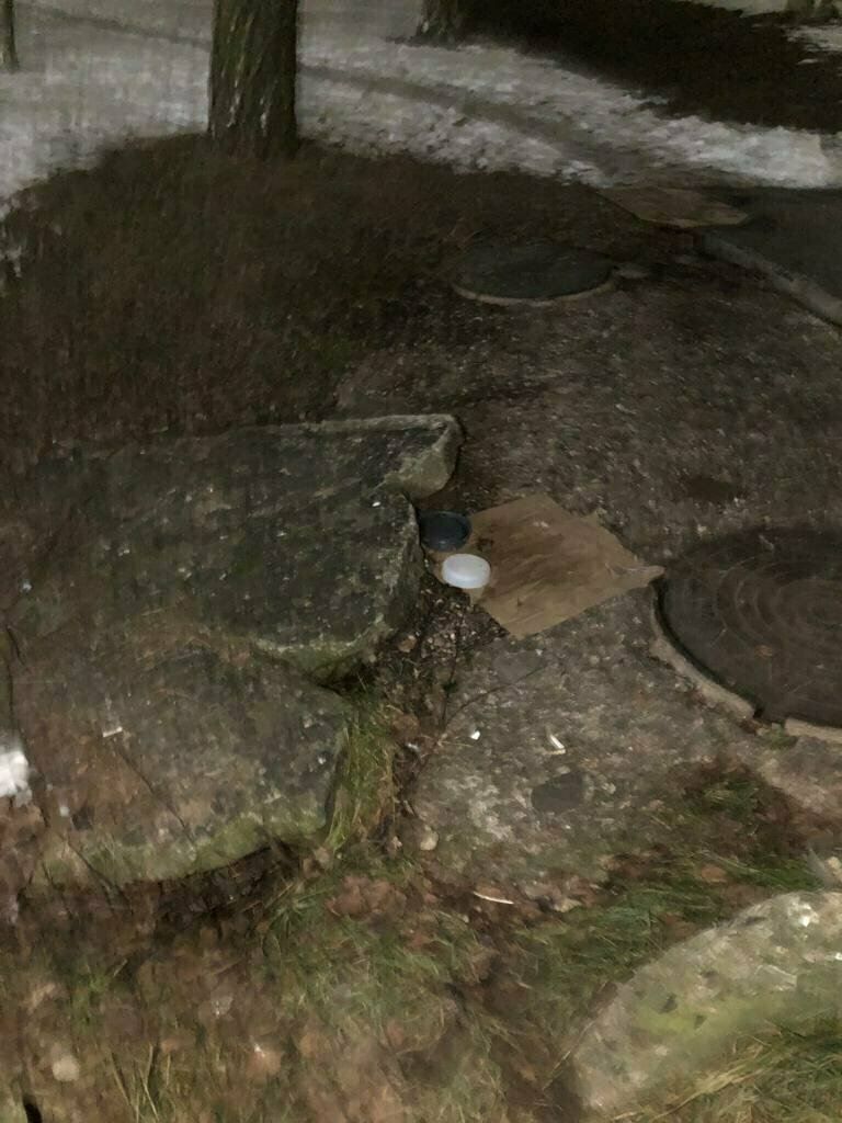 Вот тут он жил