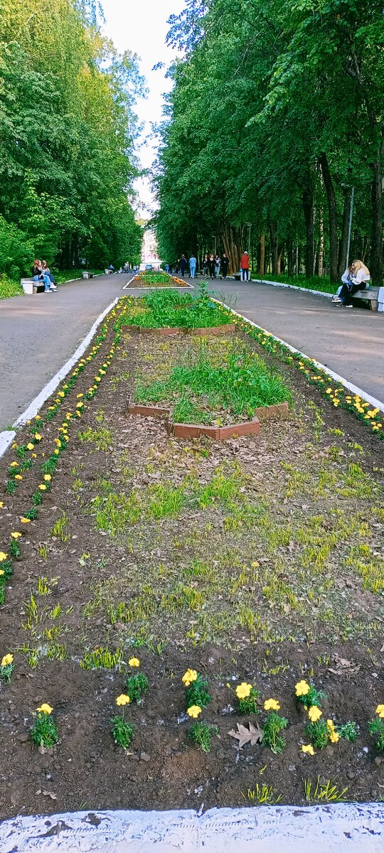 Аллея в Кировском парке.