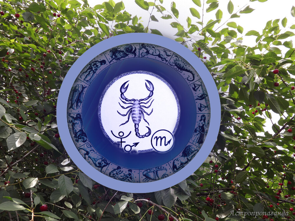 Коллаж Нины Стрелковой. 