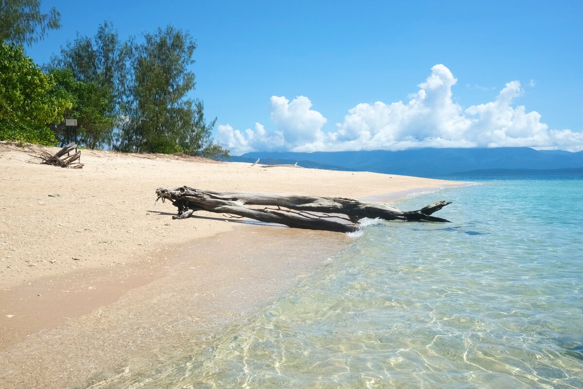Картинка с бесплатного фотостока https://unsplash.com, автор Kate Branch