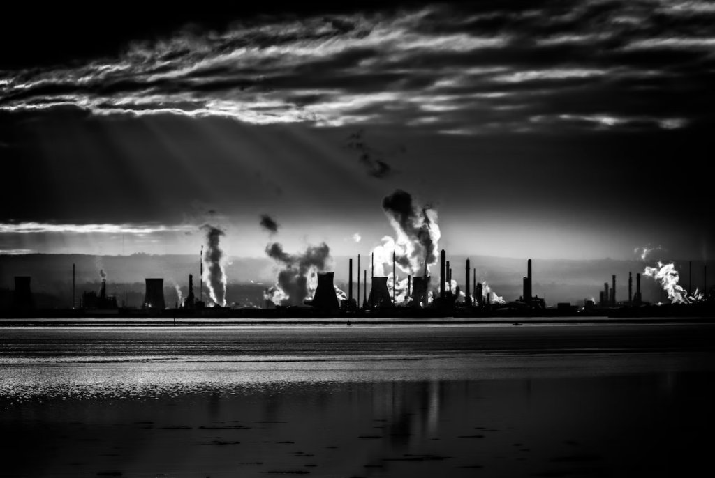    unsplash.com