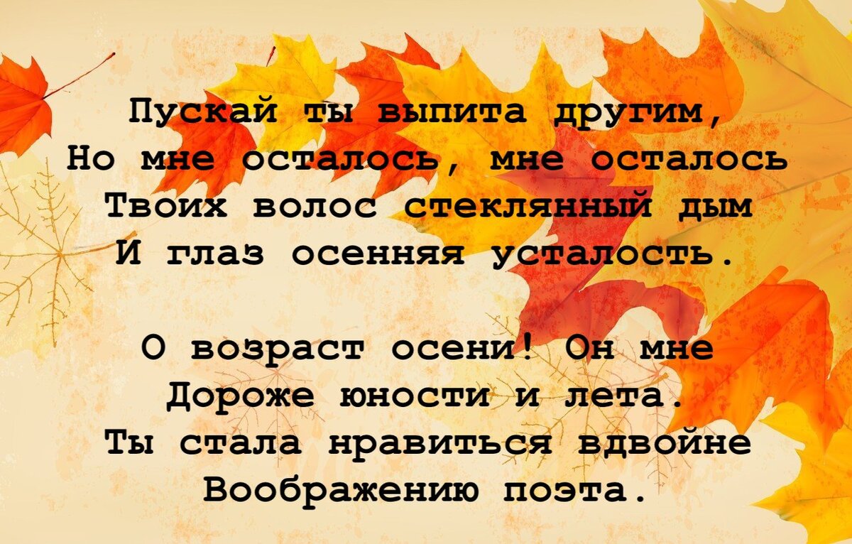 Песни есенина пускай ты выпита другим. Пускай ты выпита. Пускай ты выпита другим Есенин.