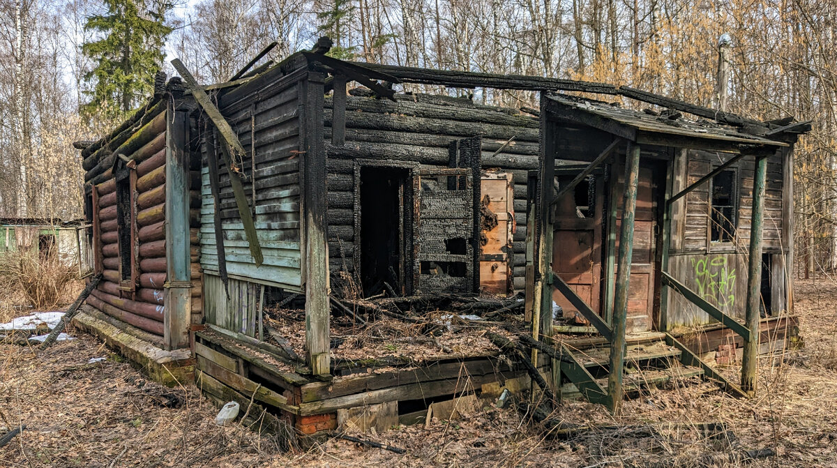 Та самая избушка в лесу