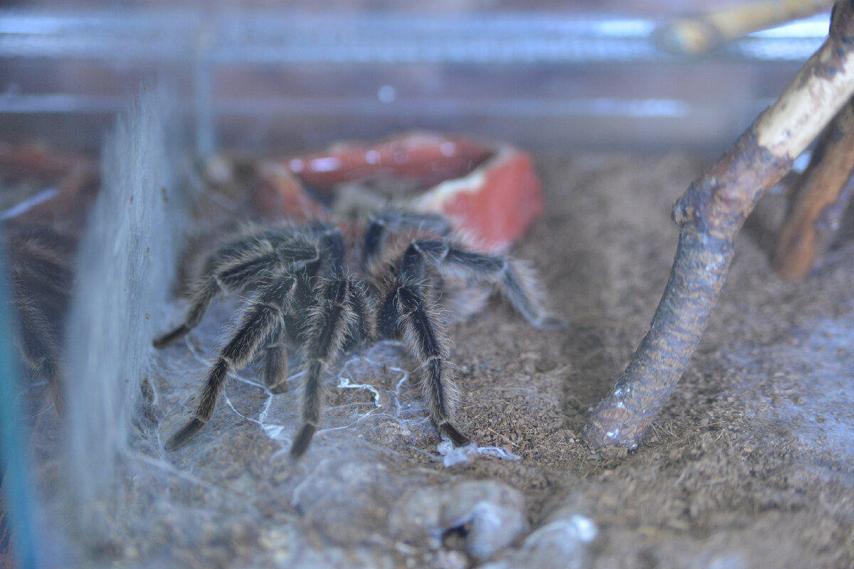 Фото из семейного архива