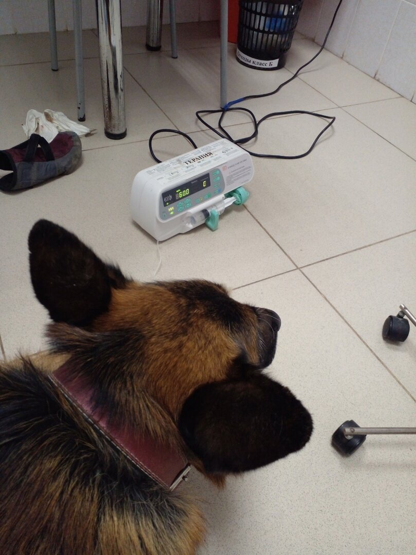 Подключили химию. Фото автора. 