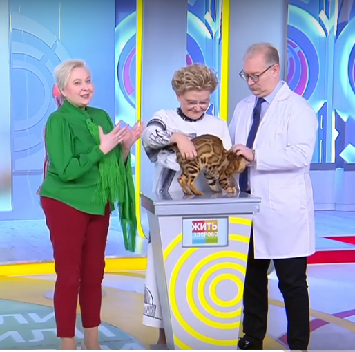 Автор Светлана Пономарева представляет бенгальского кота Костика