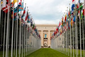    Фото: unsplash.com Ирина Моргунова