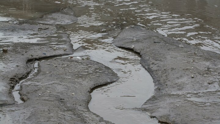 ФОТО: NIKOLAY TITOV/GLOBALLOOKPRESS