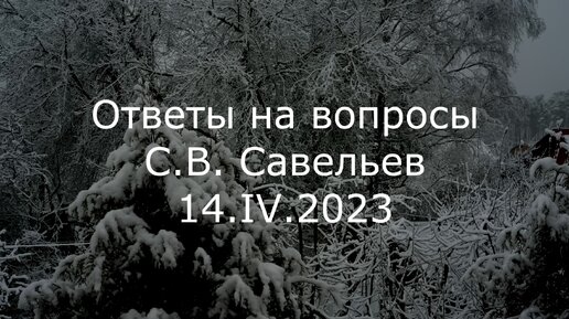 С.В. Савельев. Ответы на вопросы - [20230414]